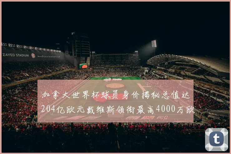 加拿大世界杯球员身价揭秘总值达204亿欧元戴维斯领衔最高4000万欧